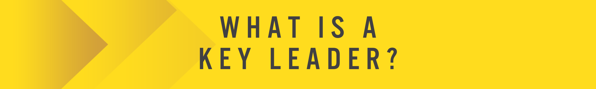 What is LeaderImapct (8)